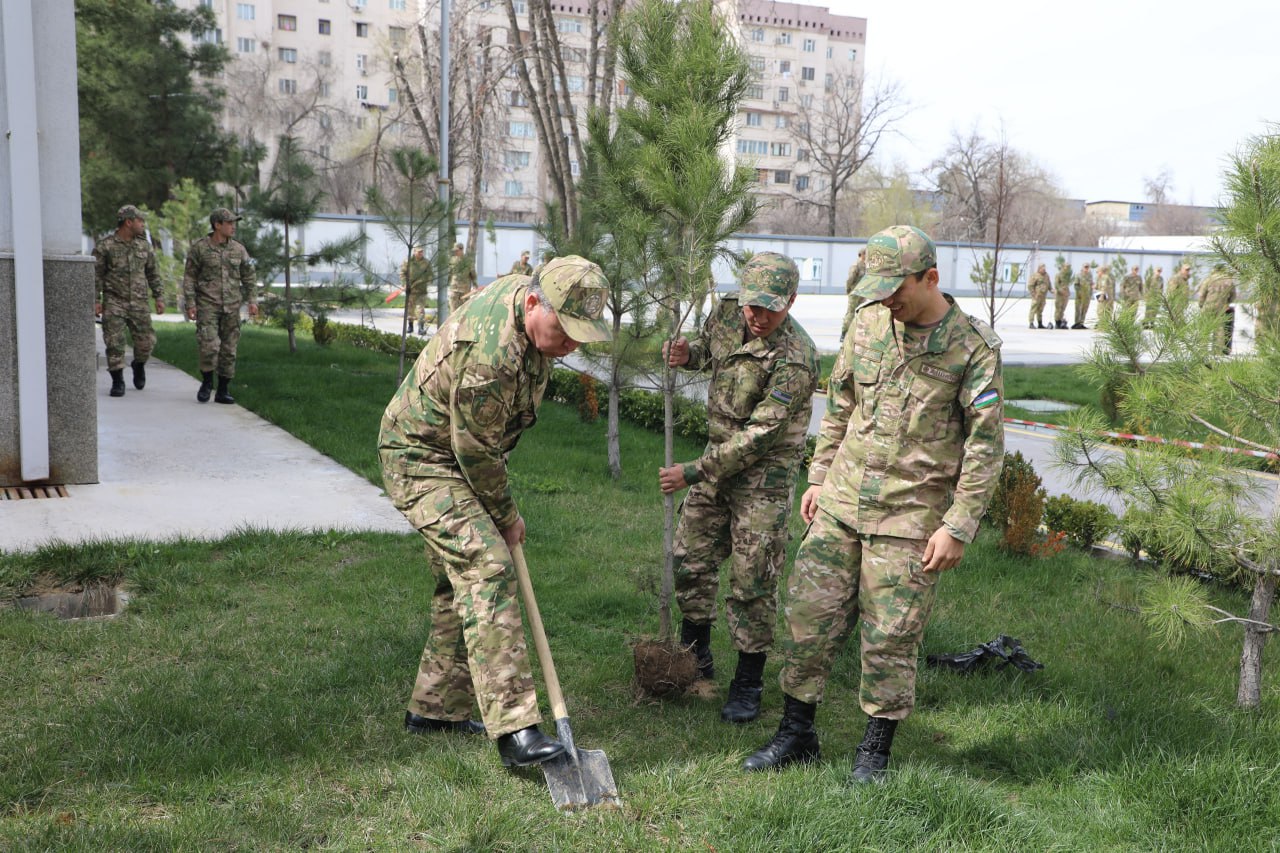 Yurt obodonligi, avvalo, mahalladan boshlanadi
